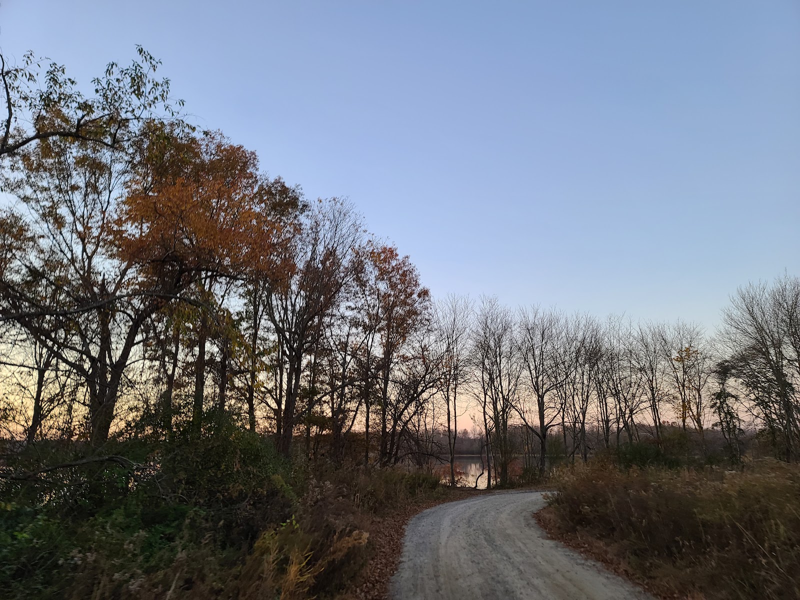 Assunpink Wildlife Management Area